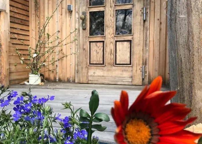 Der Zirkuswagen Und Elfenhaus * Dittmannsdorf (Olbernhau)